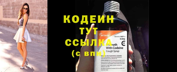 прущие грибы Тихвин