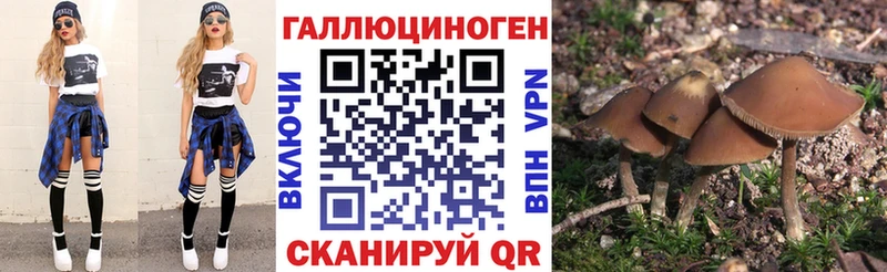 ОМГ ОМГ ONION  Стародуб  Псилоцибиновые грибы Magic Shrooms 